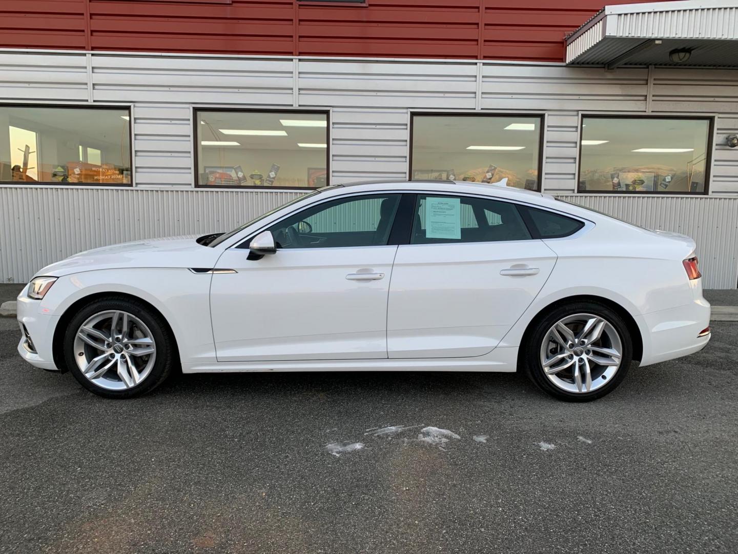 2019 WHITE /Black AUDI A5 SPORTBACK 2.0T QUATTRO PREMIUM (WAUANCF55KA) with an 2.0L engine, Automatic transmission, located at 1960 Industrial Drive, Wasilla, 99654, (907) 274-2277, 61.573475, -149.400146 - Photo#0