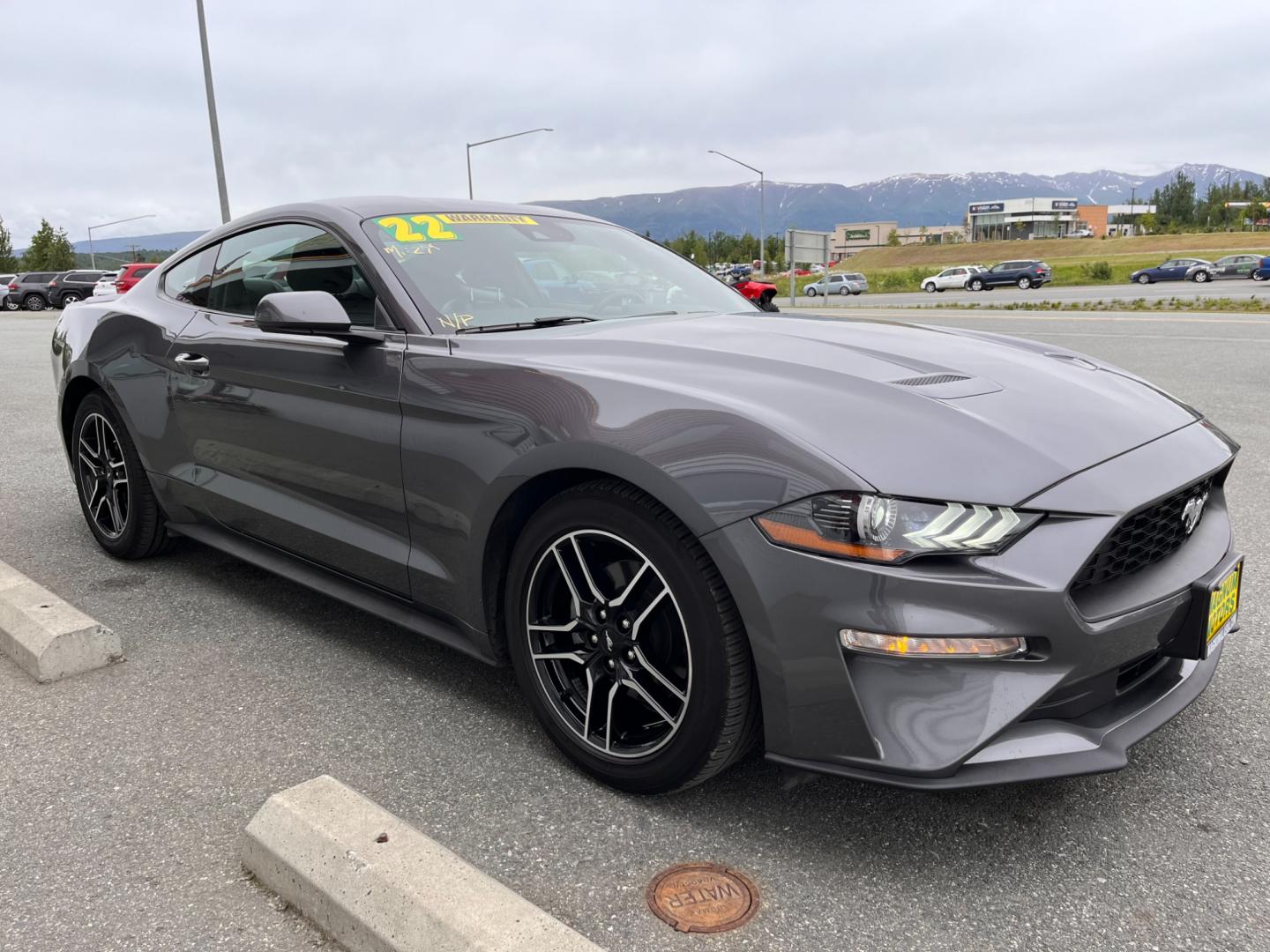 2022 GRAY FORD MUSTANG ECOBOOST (1FA6P8TH6N5) with an 2.3L engine, 6-Speed Manual transmission, located at 1960 Industrial Drive, Wasilla, 99654, (907) 274-2277, 61.573475, -149.400146 - Photo#5