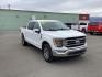 2021 WHITE FORD F-150 lariet (1FTFW1E59MK) with an 5.0L engine, Automatic transmission, located at 1960 Industrial Drive, Wasilla, 99654, (907) 274-2277, 61.573475, -149.400146 - Photo#1