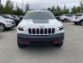 2020 WHITE JEEP CHEROKEE TRAILHAWK (1C4PJMBX0LD) with an 3.2L engine, Automatic transmission, located at 1960 Industrial Drive, Wasilla, 99654, (907) 274-2277, 61.573475, -149.400146 - Photo#2