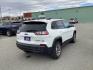 2020 WHITE JEEP CHEROKEE TRAILHAWK (1C4PJMBX0LD) with an 3.2L engine, Automatic transmission, located at 1960 Industrial Drive, Wasilla, 99654, (907) 274-2277, 61.573475, -149.400146 - Photo#5