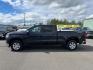 2023 BLACK CHEVROLET SILVERADO 1500 LT (3GCUDDED0PG) with an 5.3L engine, Automatic transmission, located at 1960 Industrial Drive, Wasilla, 99654, (907) 274-2277, 61.573475, -149.400146 - Photo#2