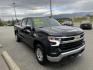 2023 BLACK CHEVROLET SILVERADO 1500 LT (1GCUDDED9PZ) with an 5.3L engine, Automatic transmission, located at 1960 Industrial Drive, Wasilla, 99654, (907) 274-2277, 61.573475, -149.400146 - Photo#2