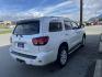 2019 Toyota Sequoia Plantium 4WD (5TDDY5G18KS) with an 5.7L V8 DOHC 32V engine, 6A transmission, located at 1960 Industrial Drive, Wasilla, 99654, (907) 274-2277, 61.573475, -149.400146 - Photo#4