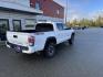 2022 WHITE TOYOTA TACOMA DOUBLE CAB (3TMCZ5ANXNM) with an 3.5L engine, Automatic transmission, located at 1960 Industrial Drive, Wasilla, 99654, (907) 274-2277, 61.573475, -149.400146 - Photo#4