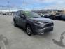 2022 GRAY TOYOTA RAV4 XLE (2T3P1RFV1NW) with an 2.5L engine, Automatic transmission, located at 1960 Industrial Drive, Wasilla, 99654, (907) 274-2277, 61.573475, -149.400146 - Photo#7