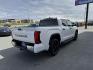 2023 WHITE TOYOTA TUNDRA CREWMAX LIMITED (5TFJA5DB6PX) with an 3.4L engine, Automatic transmission, located at 1960 Industrial Drive, Wasilla, 99654, (907) 274-2277, 61.573475, -149.400146 - Photo#3