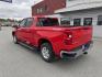 2023 RED Chevrolet Silverado 1500 LT Crew Cab 4WD (1GCUDDED4PZ) with an 5.3L V8 OHV 16V engine, 6A transmission, located at 1960 Industrial Drive, Wasilla, 99654, (907) 274-2277, 61.573475, -149.400146 - Photo#1
