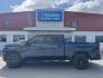 2020 BLUE Chevrolet Silverado 1500 LT Trail Boss Crew Cab 4WD (3GCPYFED2LG) with an 5.3L V8 OHV 16V engine, 6A transmission, located at 1960 Industrial Drive, Wasilla, 99654, (907) 274-2277, 61.573475, -149.400146 - Photo#0